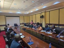 President Mahama Meets Independent Power Producer