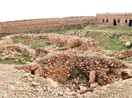 The OIC Media Observatory for Crimes against Palestinians Monitors Israel's Ambitions for Jericho's Antiquities