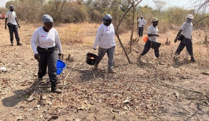 Internally displaced persons at Naivasha IDP camp in Wau begin their journey towards fully reintegrating into society, thanks to collective efforts by the government and the UN family. Photo by Roseline Nzelle Nkwelle/UNMISS.