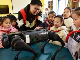 A volunteer from Jiangsu University explains the functions of a robotic dog to primary school students in Zhenjiang, east China's Jiangsu province. (Photo by Shi Yucheng/People's Daily Online)