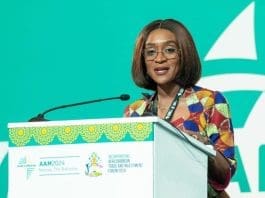 Abena Osei Asare, MP For Atiwa East Constituency