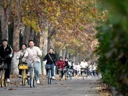 People ride shared bikes in Handan, north China's Hebei province. (Photo by Hao Qunying/People's Daily Online)