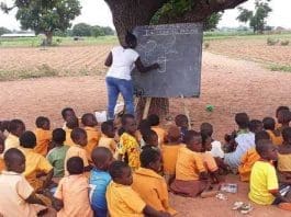 Schools Under Trees New