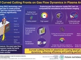 Infographic