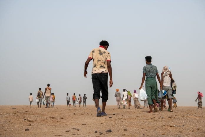 Migrants crossing the desert in Obok, Djibouti. Hundreds of thousands of migrants embark each year on dangerous irregular journeys primarily from Ethiopia and Somalia. Photo: IOM 2022/Alexander Bee Migrants crossing the desert in Obok, Djibouti. Hundreds of thousands of migrants embark each year on dangerous irregular journeys primarily from Ethiopia and Somalia. Photo: IOM 2022/Alexander Bee