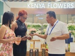 During the third China-Africa Economic and Trade Expo, a Kenyan purple tea distributor (first from right) introduces Kenyan purple tea to attendees. (Photo by Yang Xun, Dong Yuanjun)