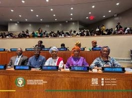 Ecowas Csw