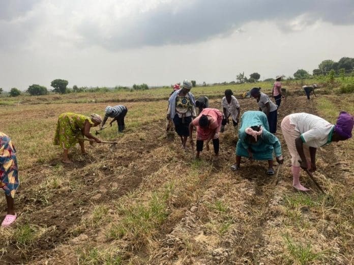 Farming Farming