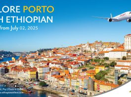Porto Artwork