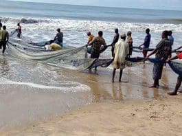 Sea Fishermen Pulling Net