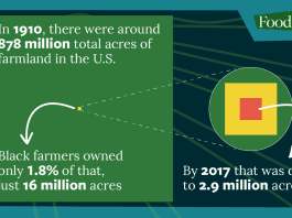 African American Land Loss Since