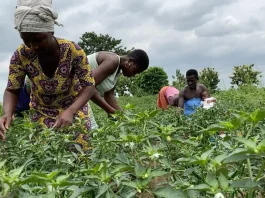Agriculture