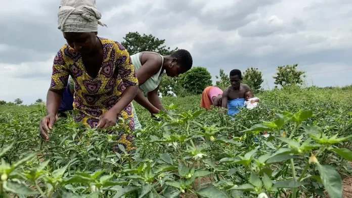 Agriculture Agriculture