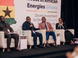 Executives Of Energy And Oil And Gas Sector Institutions During A Panel Discussion X