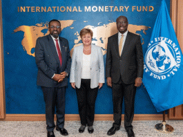 Imf Africa