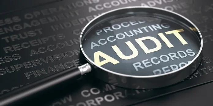 Payroll Audit Payroll Audit