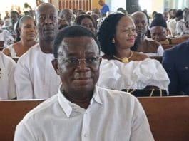 Dr. Stephen Kwabena Opuni