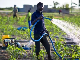 Agric Transformation