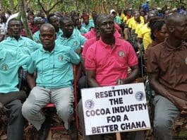 Abbey And Cocoa Farmers