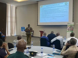 high-level stakeholder forum in Tema