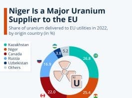 Niger Ranking In Uranium Deposits