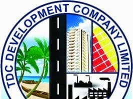 Tema Development Company