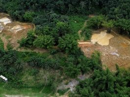 A Drone Shot Of Nuemg Forest Reserve In Tarkwa Afia Agyapomaa Ofosu
