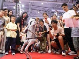 A robotic dog is exhibited at the Hangzhou International Android and Robot Technology Exhibition 2025, June 21, 2025. (Photo by Xu Junyong/People's Daily Online)