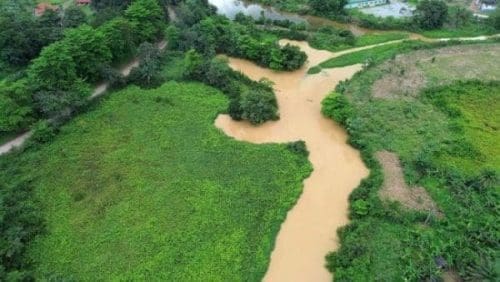 Aftermath Of Illegal Mining In Forest Reserves Afia Agyapomaa Ofosu