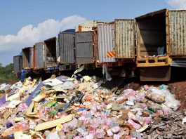 Fda Clears The Sample But Who Clears What We Eat Ghana’s Silent Food Safety Crisis Asj