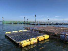 Metal-frame, floating cage that is used to farm Nile tilapia in Busia County, Lake Victoria. Photo credit: Eric Teplitz.