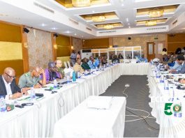 Plenary Discussions Shaped The Framework’s Operational Relevance And Inclusivity
