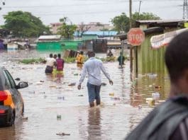 Disaster Shutterstock