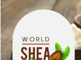 shea nut