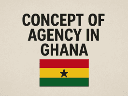 Concept Of Agency