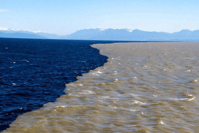Fig. 4 Halocline Waters Of The Pacific And Atlantic Oceans