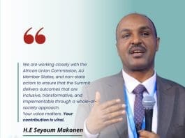 H E Seyoum Makonen Hailu