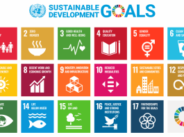 Sustainable Development Goals (SDGs)