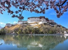 Photo shows a view of the Potala Palace from the Dzongyab Lukhang Park in Lhasa, southwest China's Xizang autonomous region. (Photo by Urgyen Tsering/People's Daily Online)