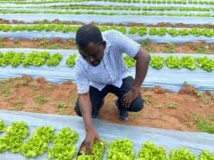 Co Founder Of Defarmercist Group Limited Charles Agyemang