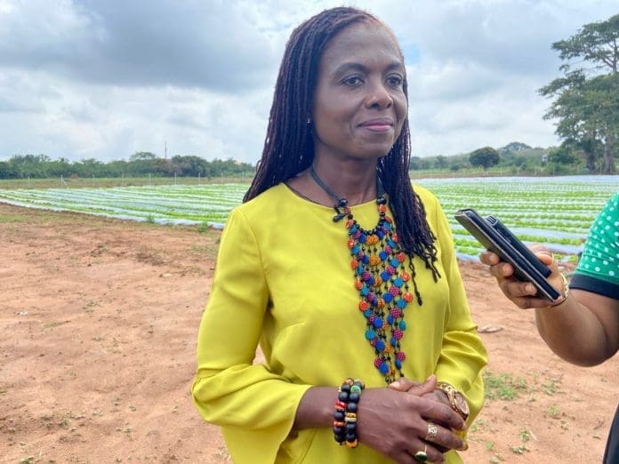 Madam Adwoa Afriyie Wiafe Chief Corporate Services And Sustainability Officer Of Mtn Ghana