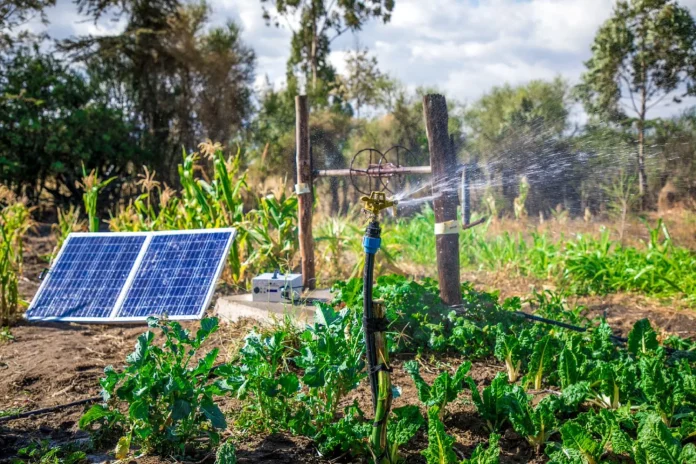 Solar Powered Vegetable Garden