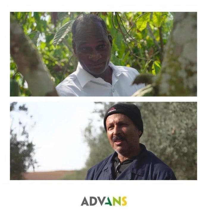 Climate Tl Visual Climate Tl Visual