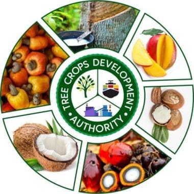 TCDA Signs Deals on Beekeeping, Rubber Land Reclamation