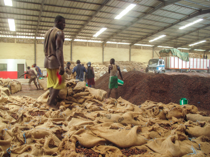 Cocoa Sales Cocoa Sales