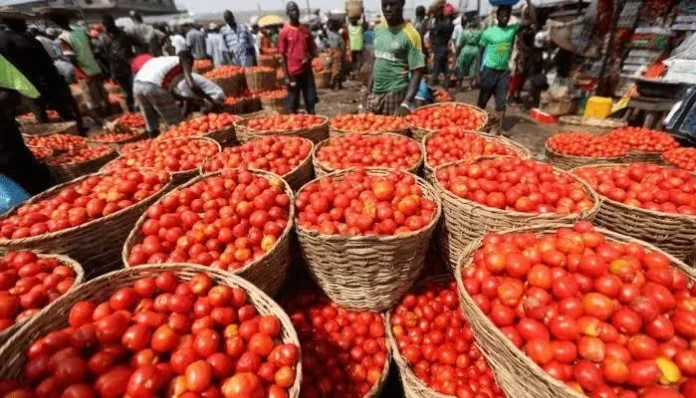 Tomato Markets