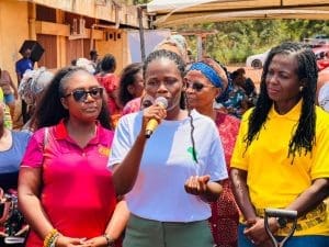 West Africa Regional Director Of Holland Greentech Celestina Danso Arhin