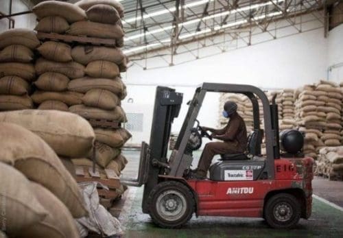 Ghana’s Cocoa Price Hope Fades as Rally Reverses