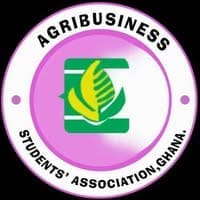 Tomato Supply Returns, But Structural Crisis Persists, ABSAG Warns