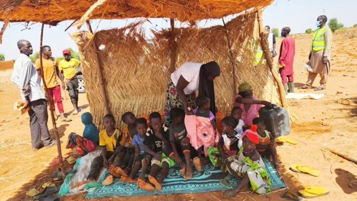 Community Built Shelter In Tillaberi